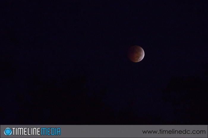 Early-morning-lunar-eclipse-©TimeLine-Media